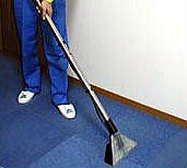 �J�[�y�b�g���