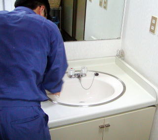 ���ʏ����|